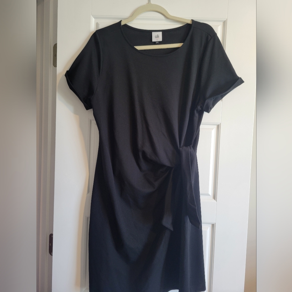 Cabi Dress
